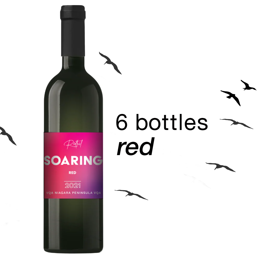 Soaring SALE — BUNDLE DEAL