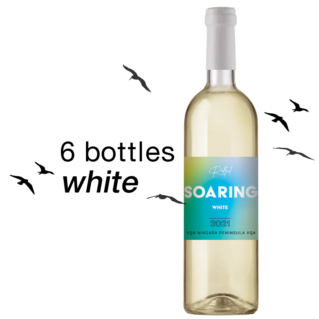 Soaring SALE — BUNDLE DEAL