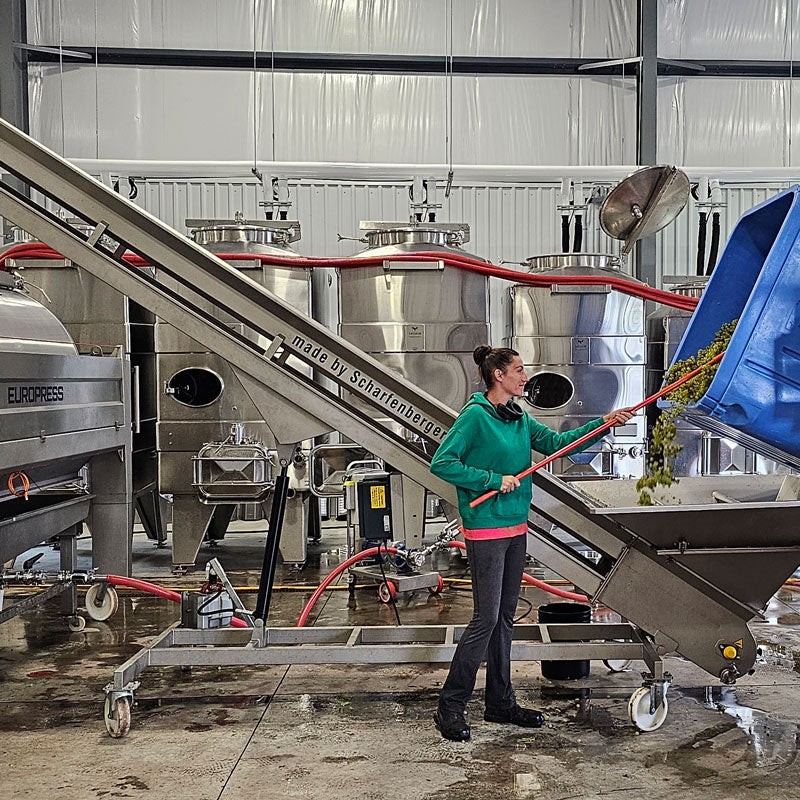 Redtail Vineyards production